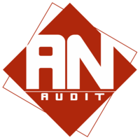 audit-assistant-40