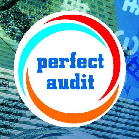 Perfect Audit LLC