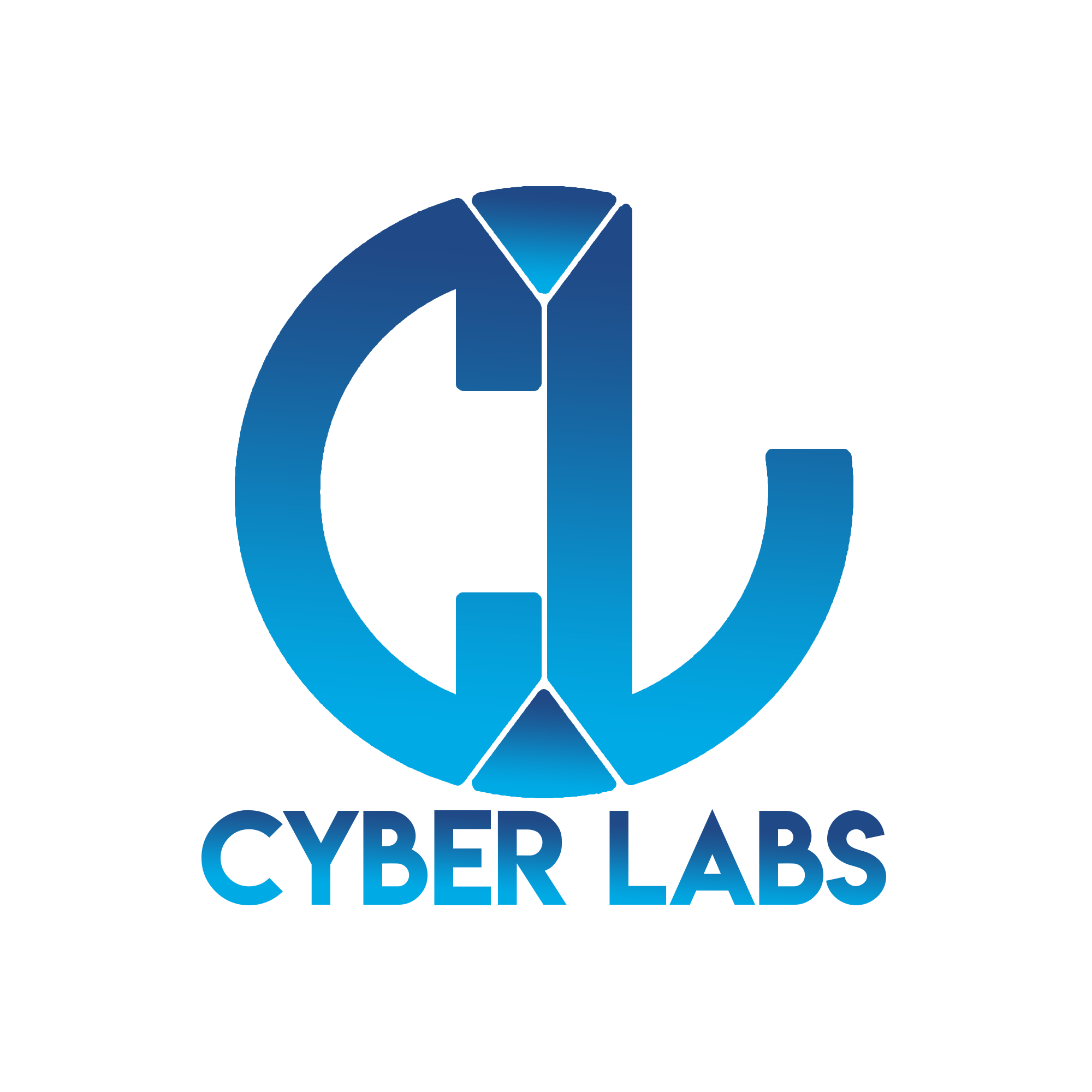 Cyber Labs LLC ՍՊԸ