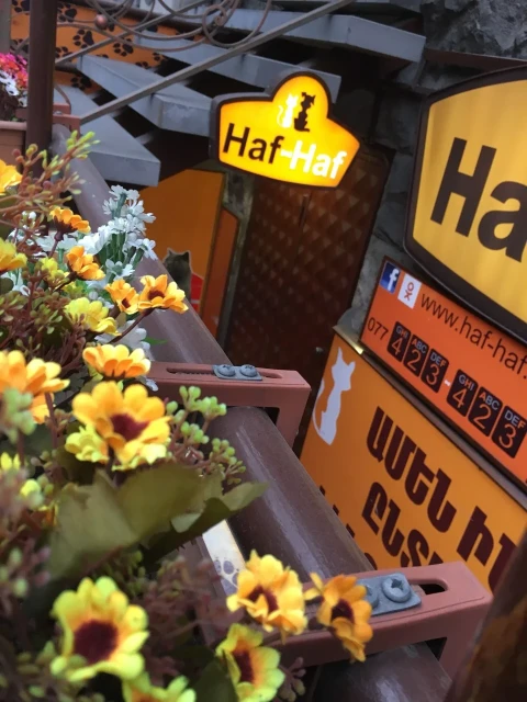 khvorhrdatvou-vatcharvogh-7