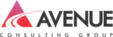 accountant-avenue-consulting-group-3