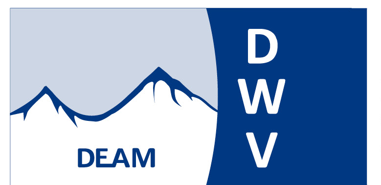 dwv-managing-director