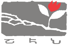 collaborative-structures-cooperative-development-expert