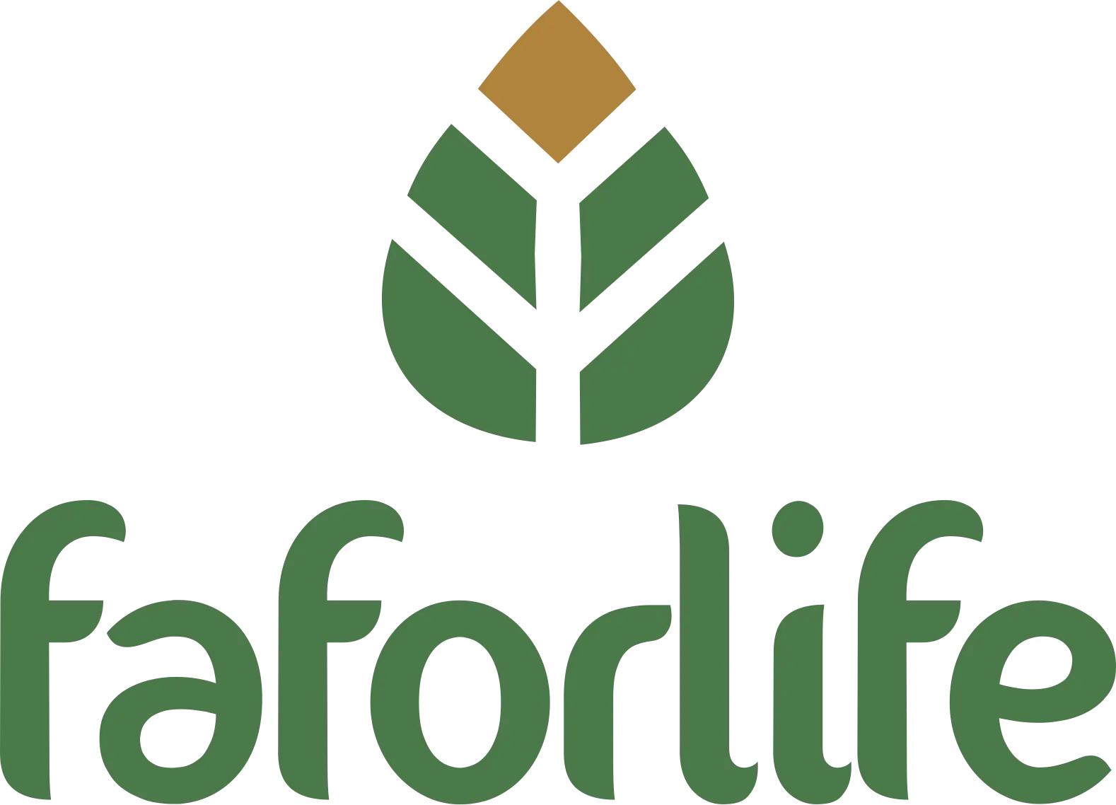 Faforlife Enterprise