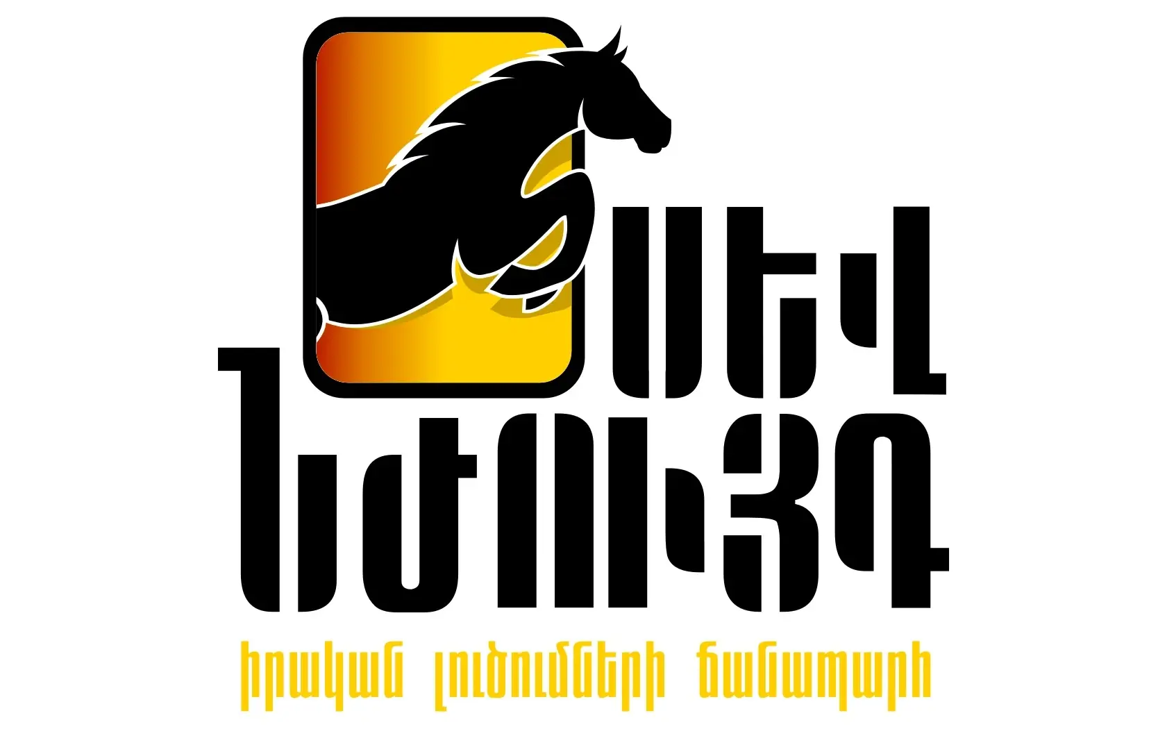 Sev Nzhuyg LLC