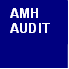 audit-assistant-37