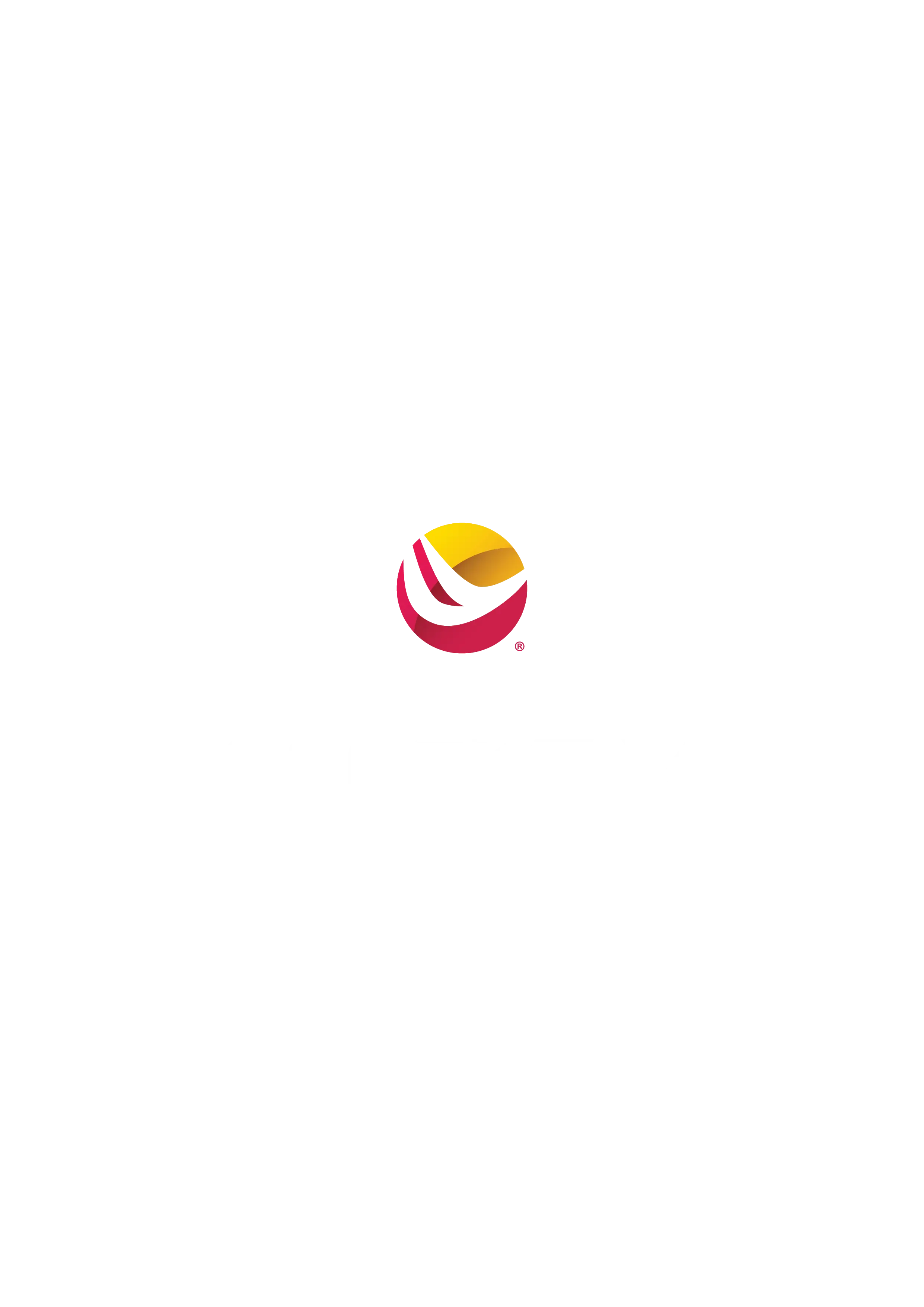 EFFEKTIV SOLUTIONS LLC LLC