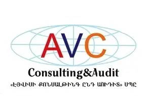 accountant-avc-consulting-and-audit-2
