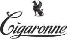 trade-marketing-specialist-4