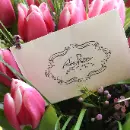 sales-assistant-young-lady-1