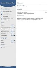 Ahmed Mohamed Ahmed Hosni Mady